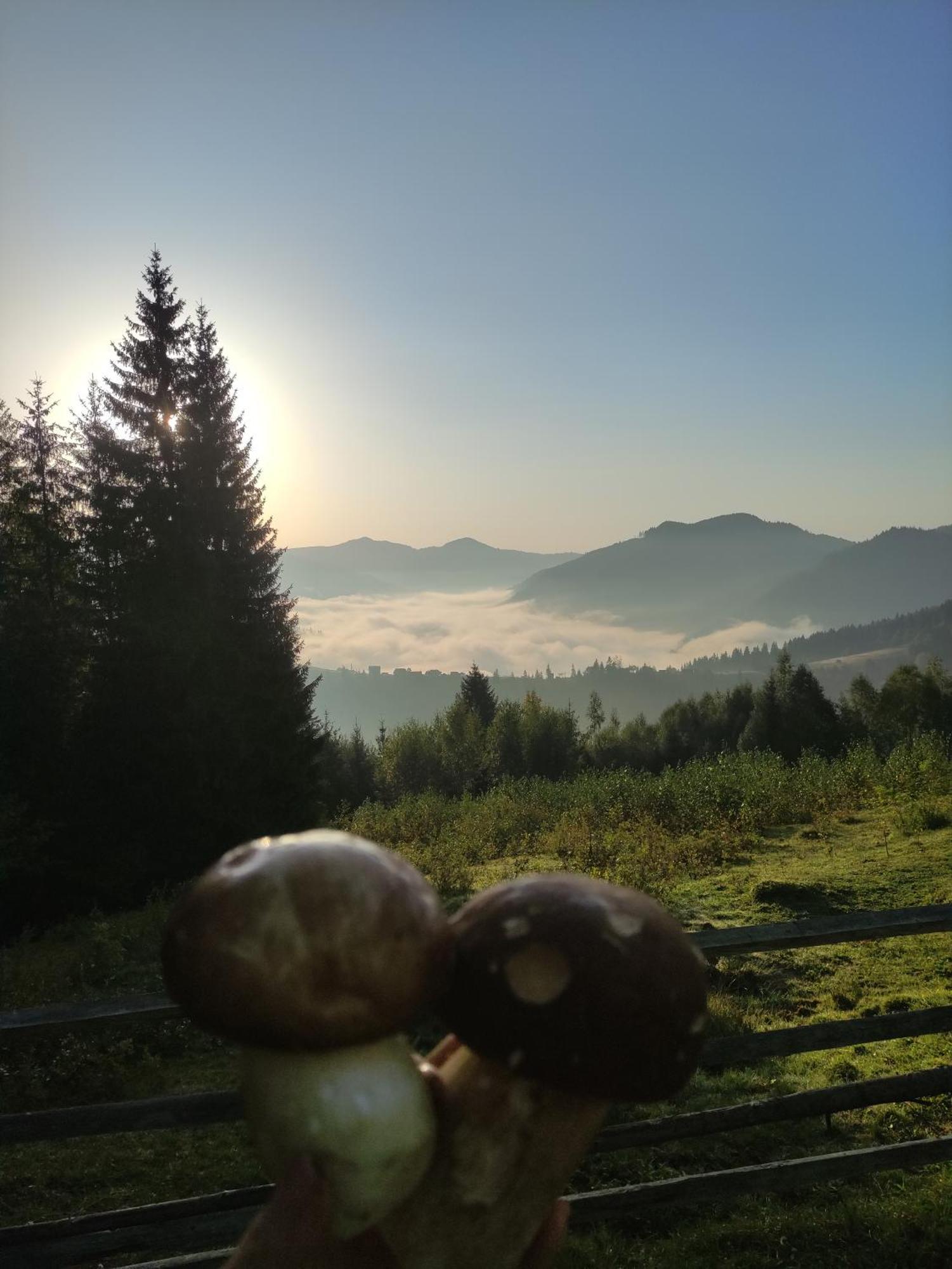 Садиба Тарниця Krivorovnya Esterno foto