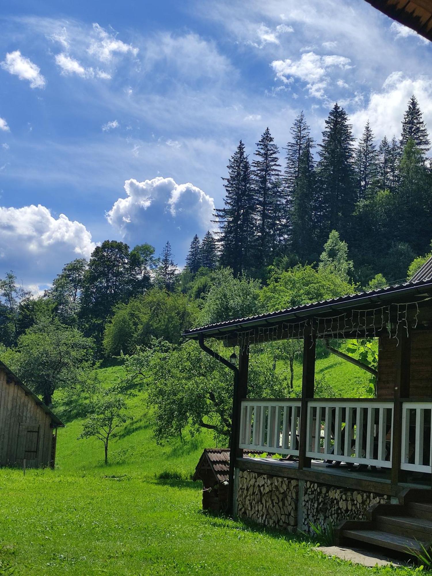 Садиба Тарниця Krivorovnya Esterno foto